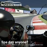 Racing Sims image 2